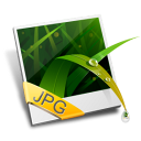 Публикация GIF, JPEG, PNG, QuickTime